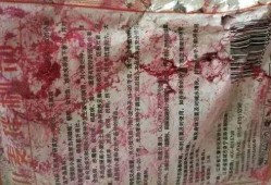 舞帝二哈爆料网站大全最新,揭秘网站大全背后的秘密与精彩瞬间