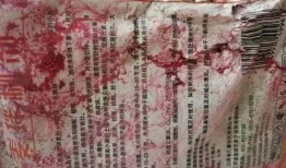 舞帝二哈爆料网站大全最新,揭秘网站大全背后的秘密与精彩瞬间