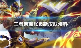 最新爆料王者新皮肤图片,独特设计引热议