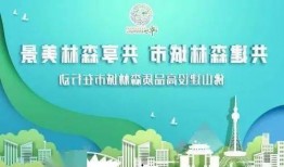 广州爆料新闻头条今天最新消息,突发事件引发全城关注