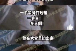 刘大锤爆料今日视频最新,今日视频热点事件深度剖析