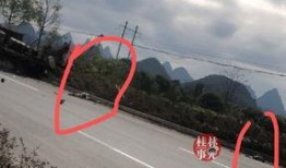 阳朔车祸最新爆料新闻,事故原因及伤亡情况披露
