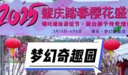 肇庆今日头条最新爆料,揭秘今日头条独家热点事件